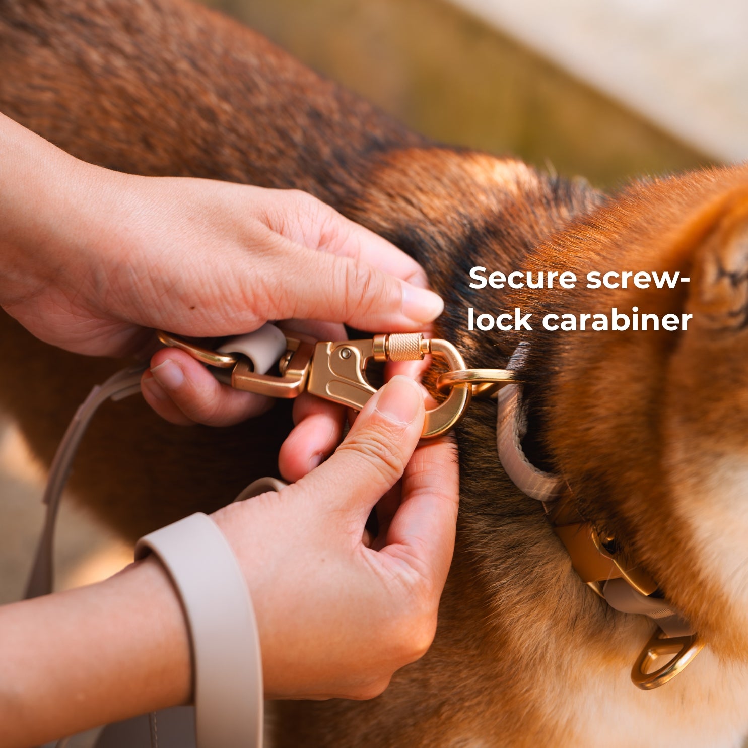 Komu Water-Resistant Adjustable Leash