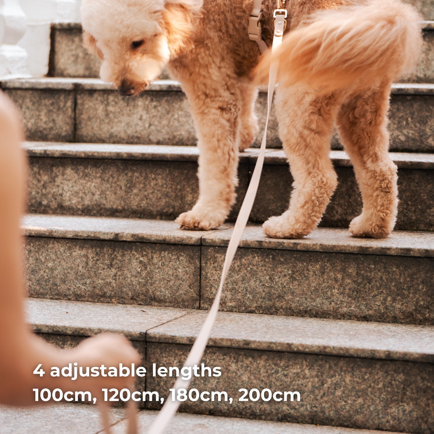Komu Water-Resistant Adjustable Leash