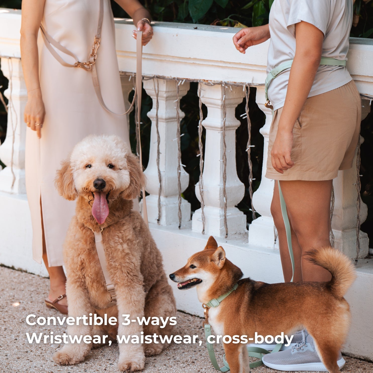 Komu Water-Resistant Adjustable Leash