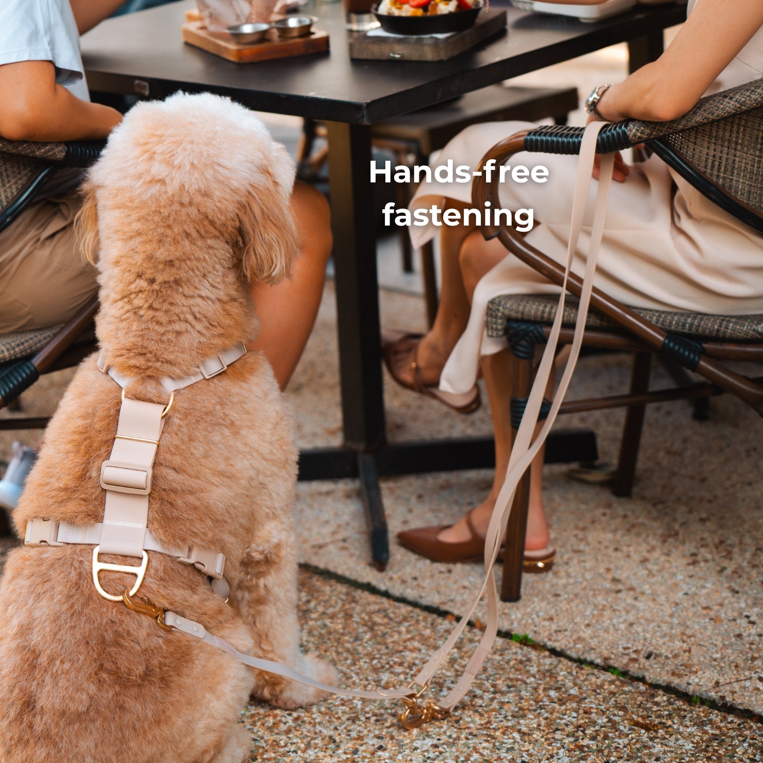 Komu Water-Resistant Adjustable Leash