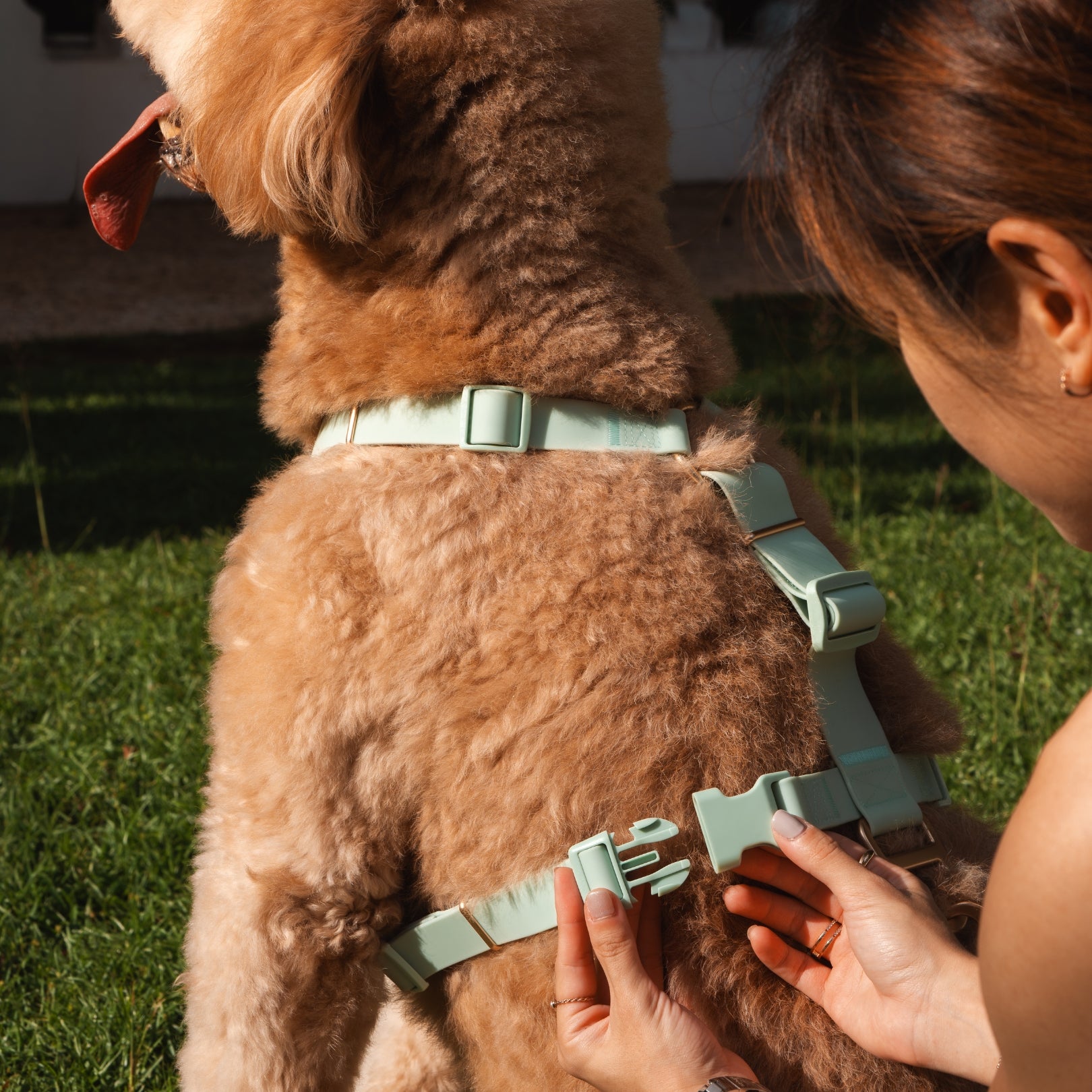 Komu Water-Resistant Harness