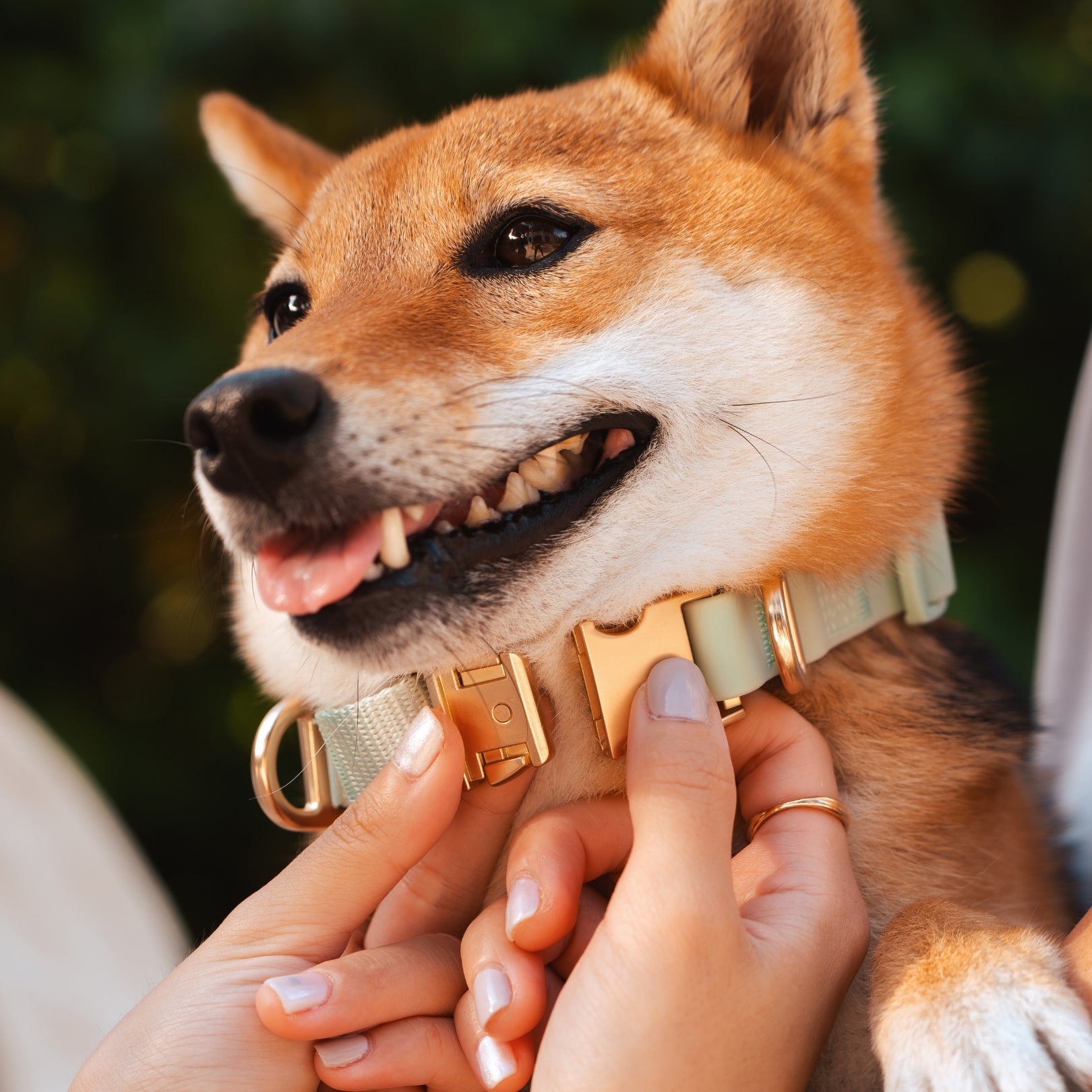 Komu Martingale Collar