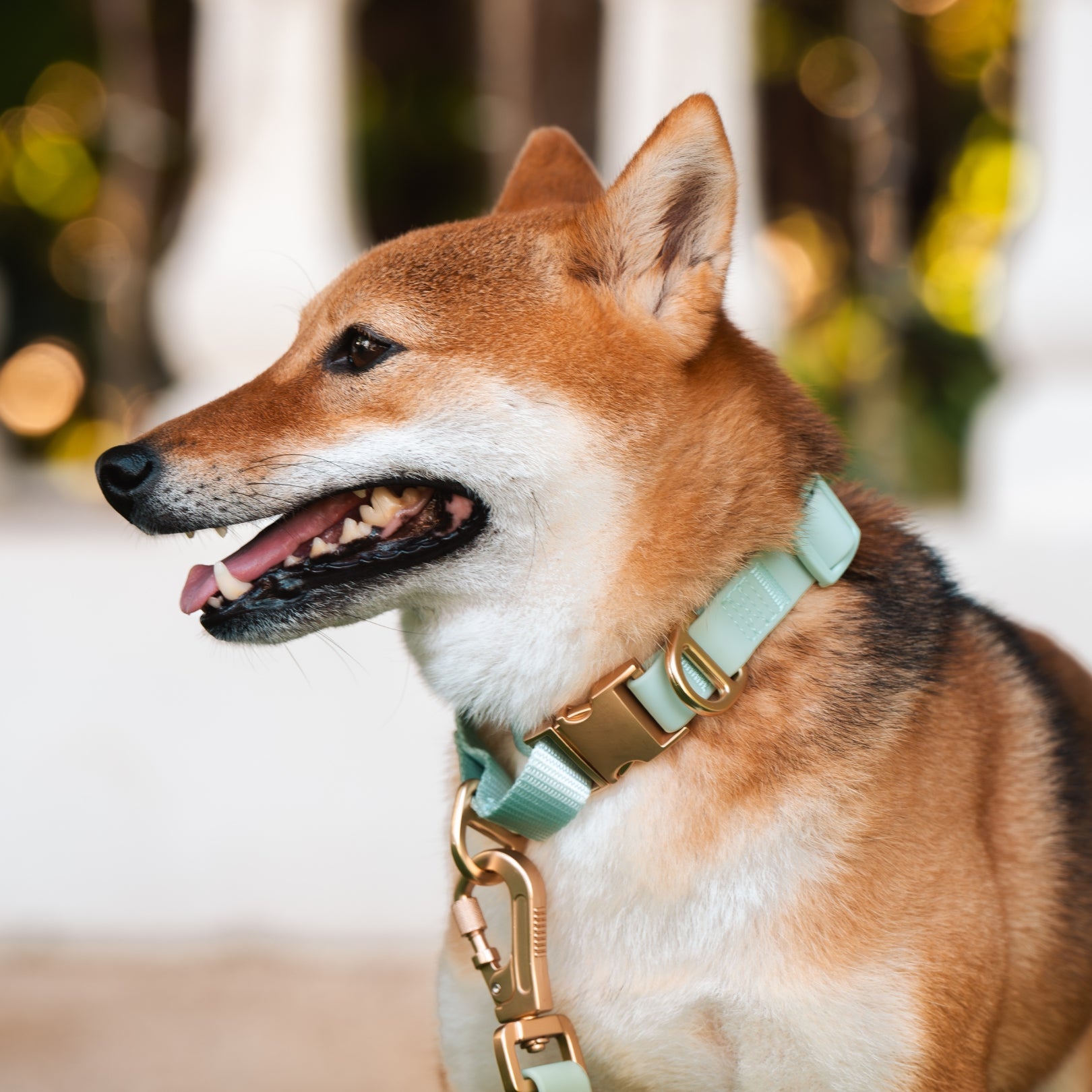 Komu Martingale Collar