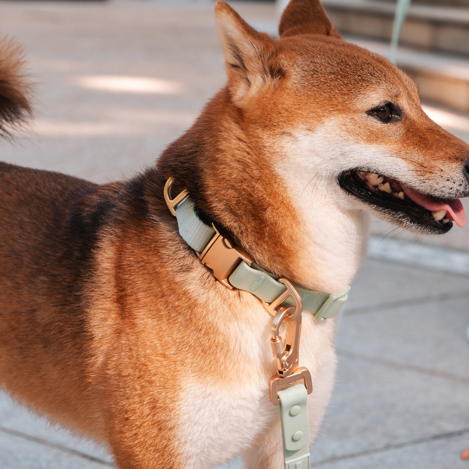 Komu Martingale Collar