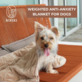 Komu Aurea Weighted Calming Pet Blanket