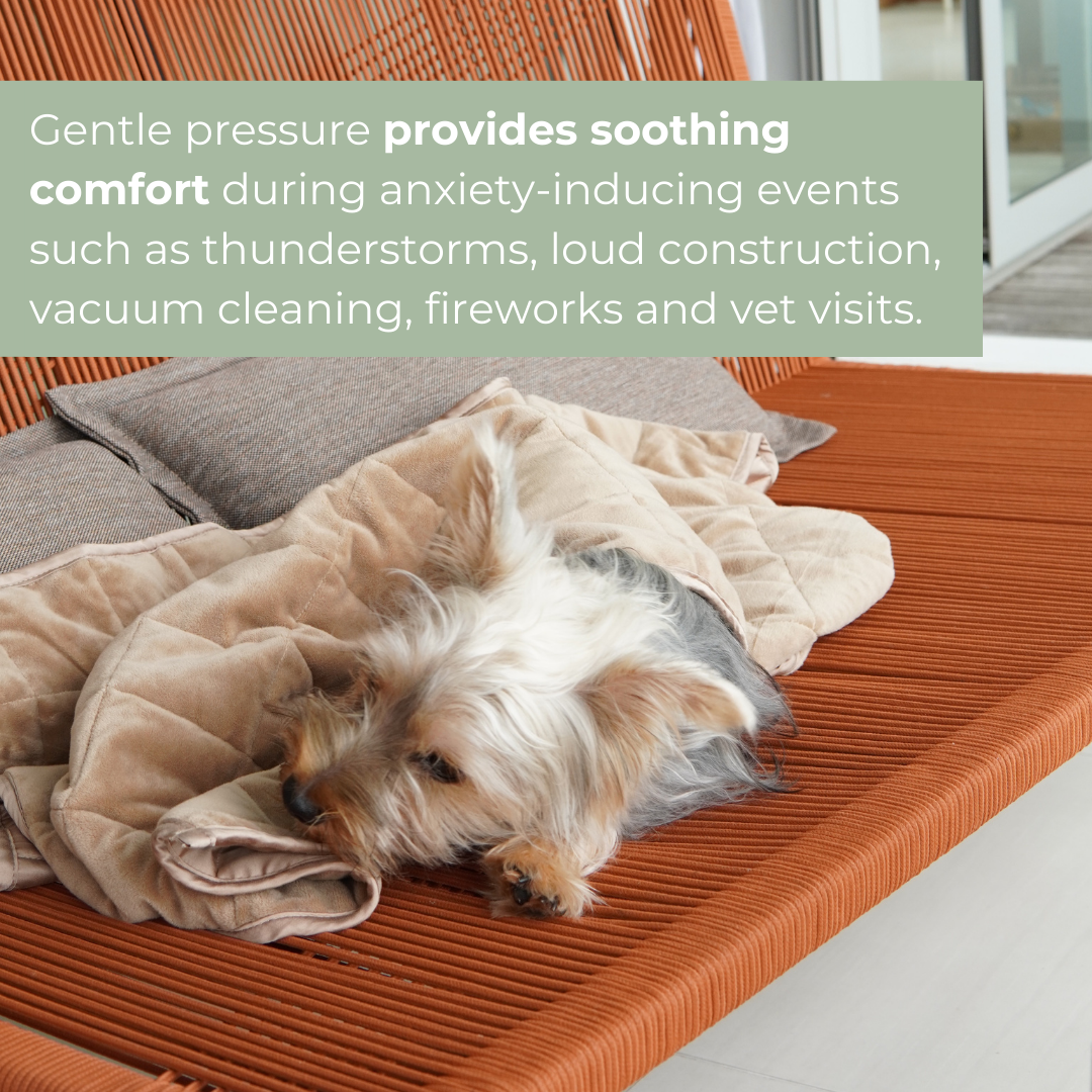 Komu Aurea Weighted Anti-Anxiety Dog Blanket