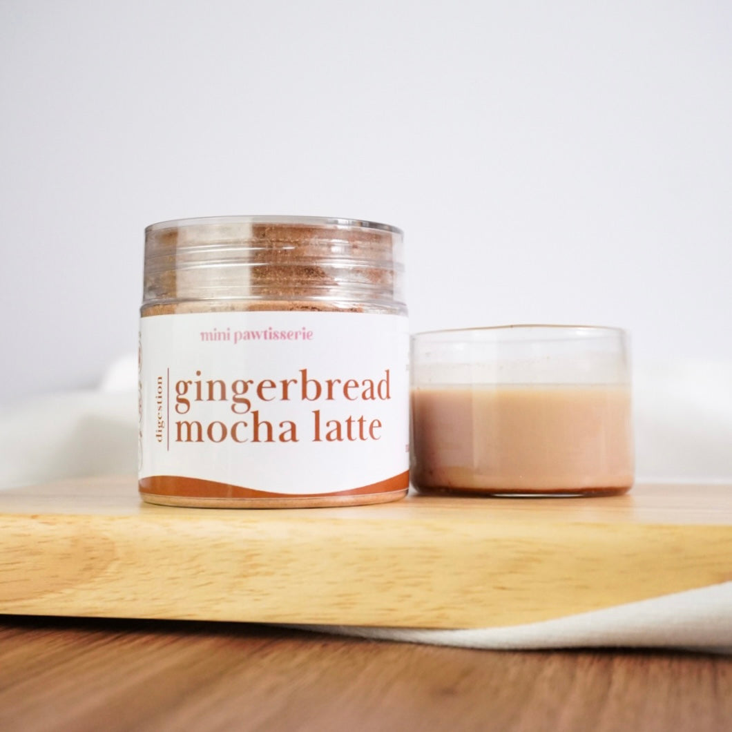 Gingerbread Mocha Latte Magic Blend