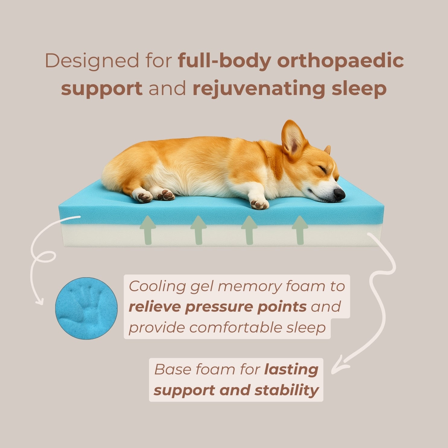 Komu Elysian Orthopaedic & Anti-Anxiety Dog Bed