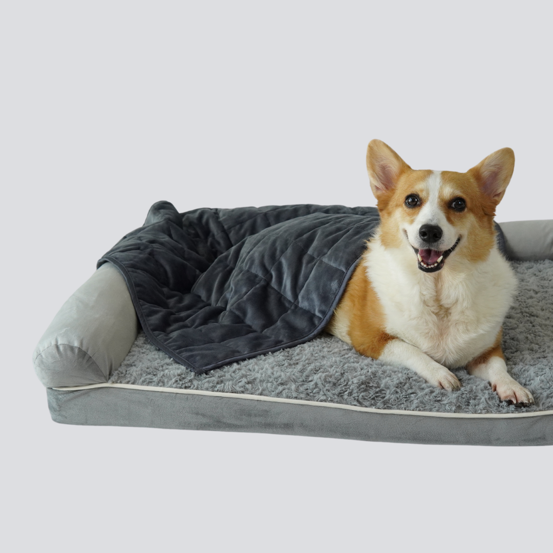Komu Aurea Weighted Anti-Anxiety Dog Blanket