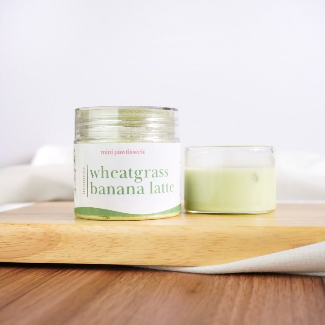 Wheatgrass Banana Latte Magic Blend