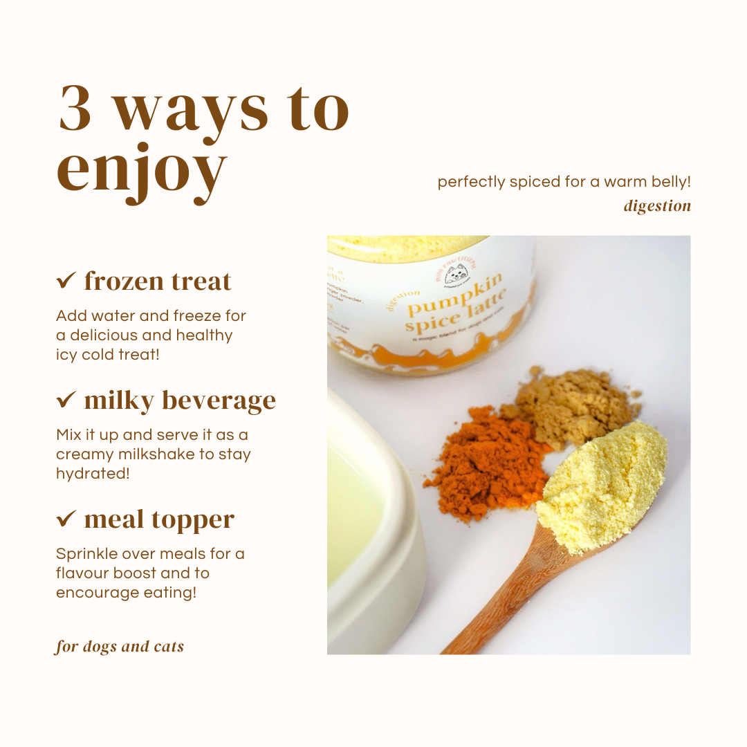 Pumpkin Spice Latte Magic Blend